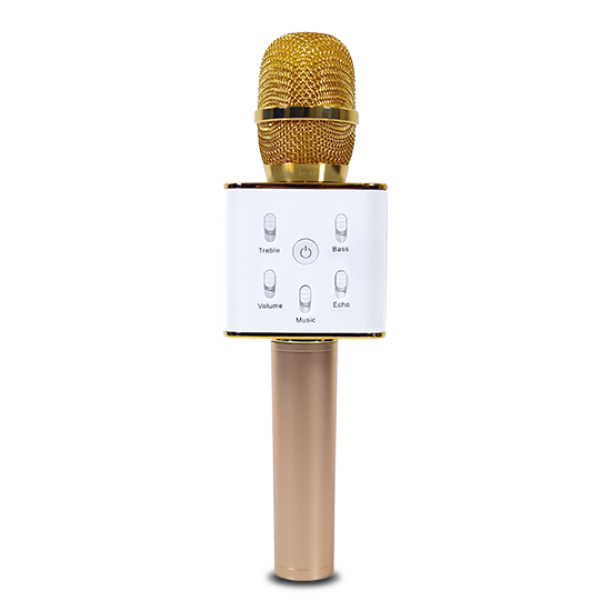 DWM-10 Karaoke Rechargeable Mic
