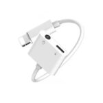 2. Charging Converter For iPhone MH030