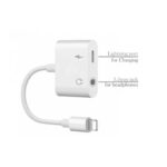3. Charging Converter For iPhone MH030
